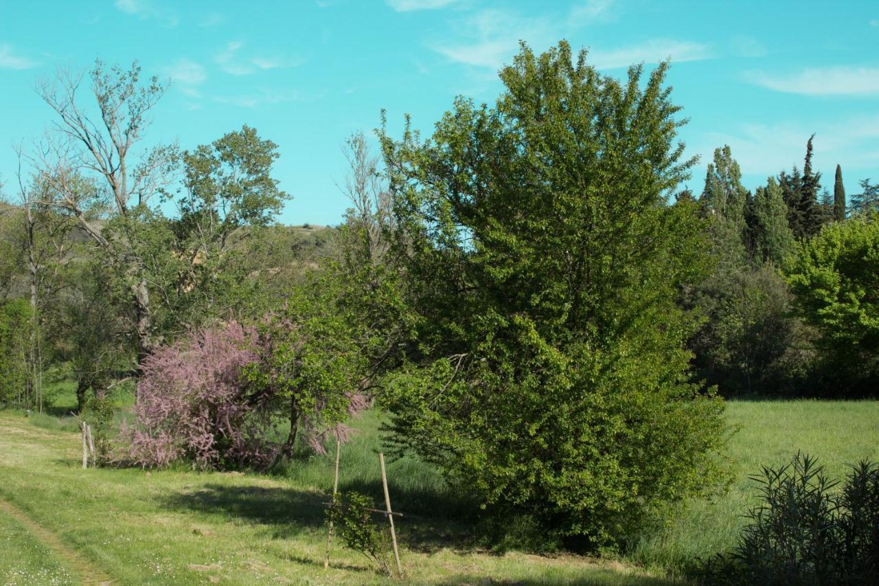 Ma Caravane Dans Les Collines Villeneuve-la-Comptal المظهر الخارجي الصورة